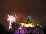 Fantasmic show 7