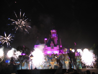 Fantasmic show 15