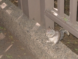 Valley Visitor Centerについて、