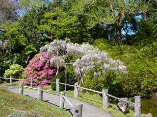 池のそばには