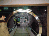 PICX2431.gif